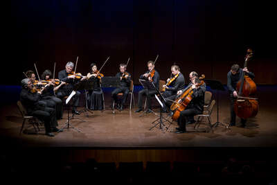 The Zagreb Soloists